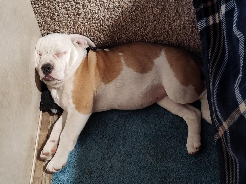 Maddy growing at 6m