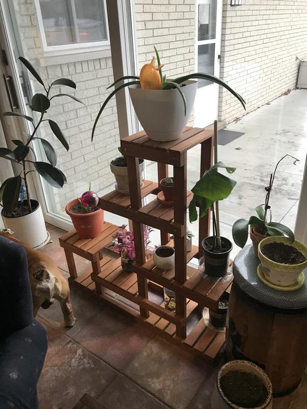 Best Plant Stand