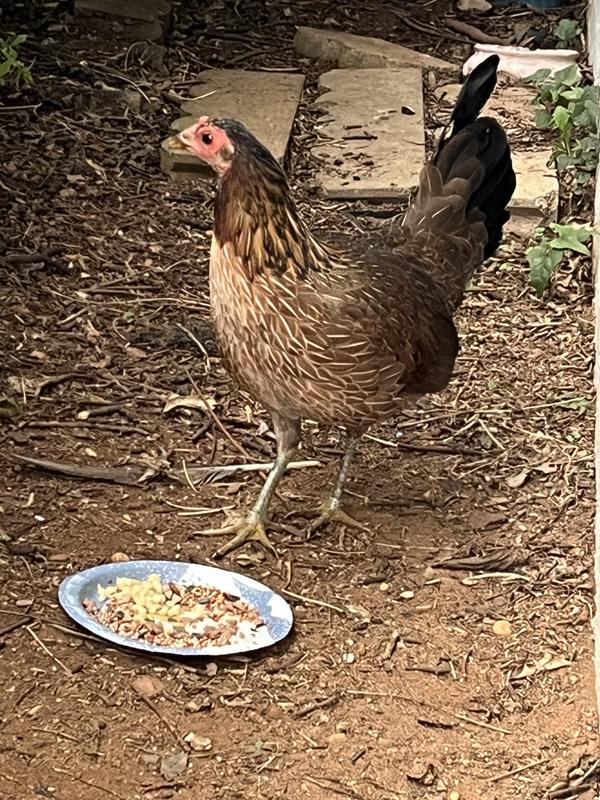 Marsha’s winter home