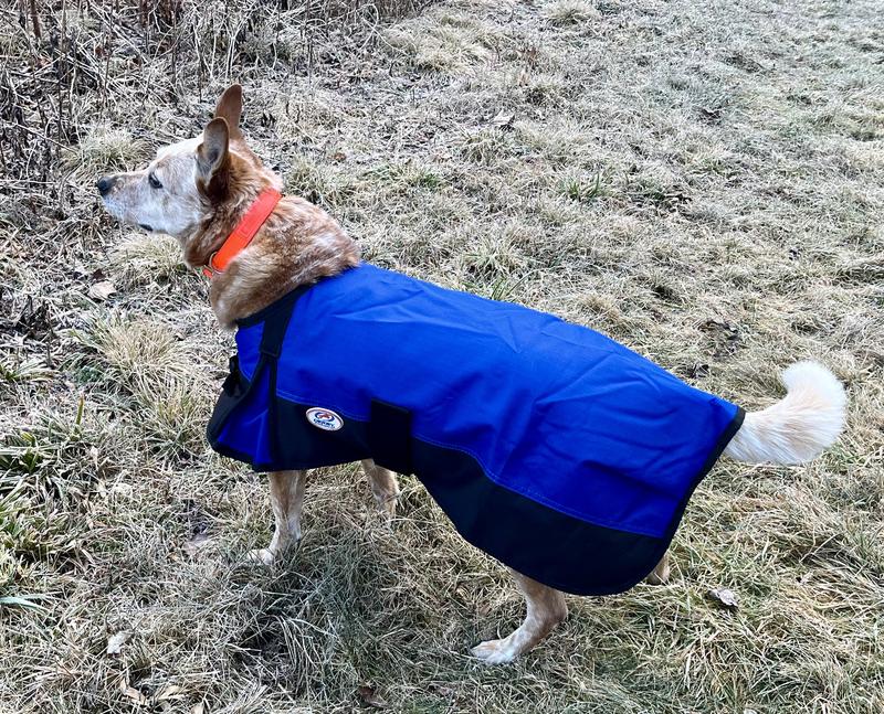 On a cold January day