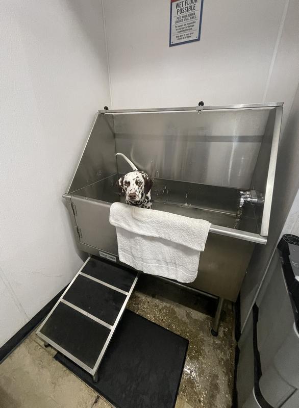 Bath time at Tractor Supply