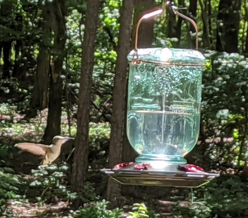 We love our Hummers!