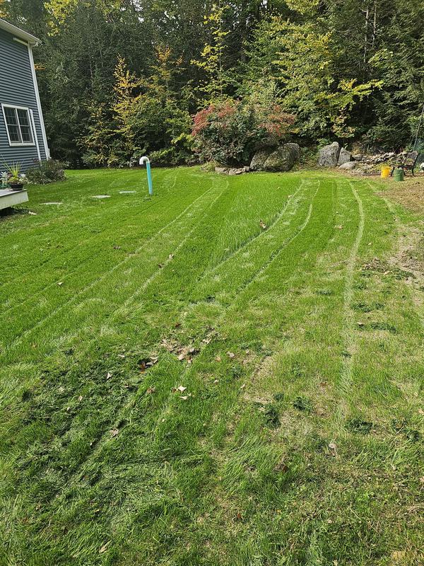 Just starting to grow and mowing for first time