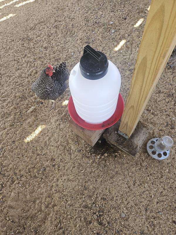 Leaked all 5 gallons overnight