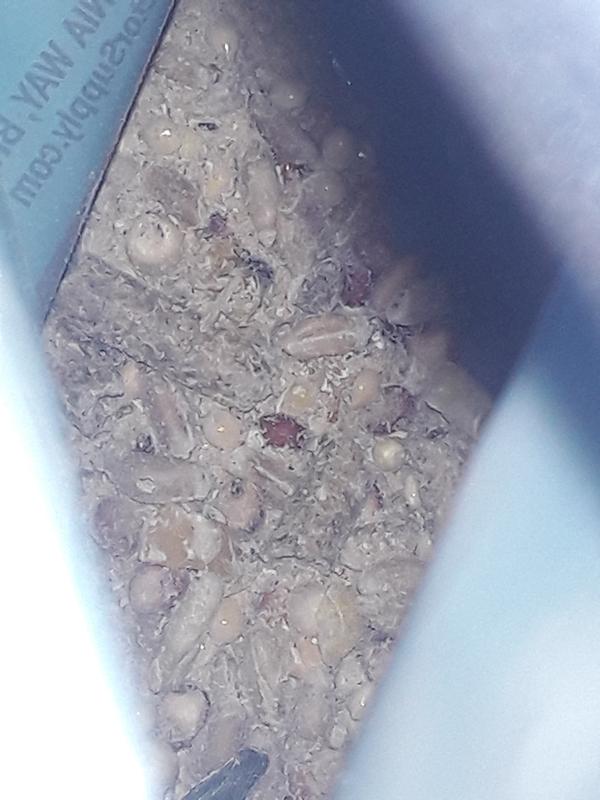Inside the bag