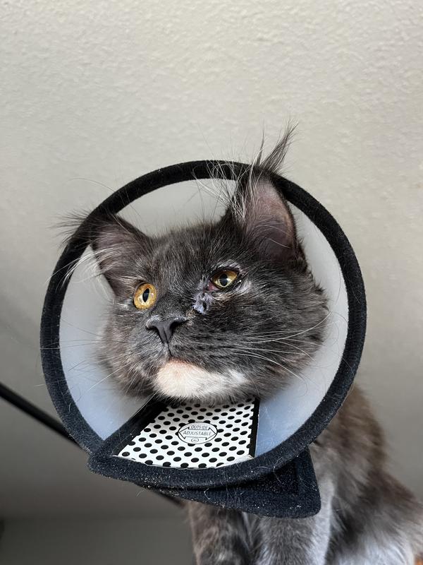 Before and after treatment, in one day!