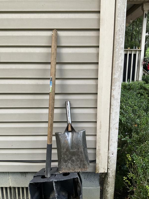 Review photo 2.