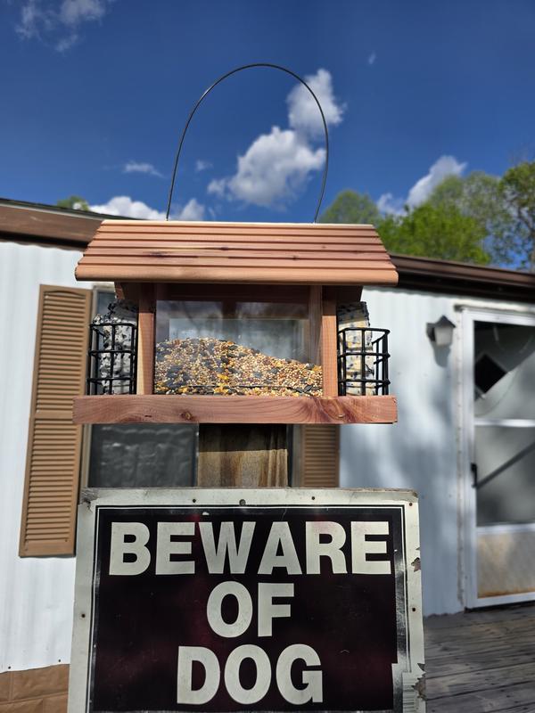 Another bird feeder with the suet cakes on the side.