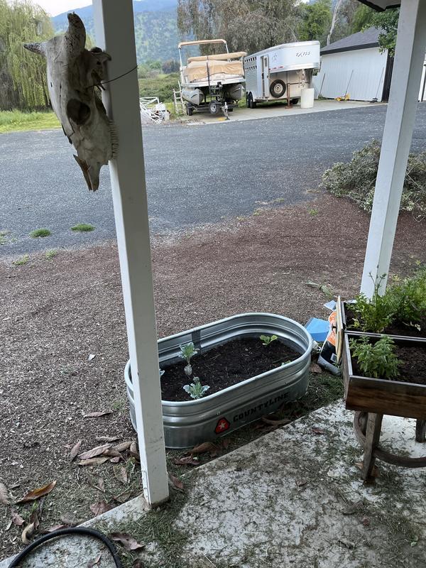 Room to grow, not too big.