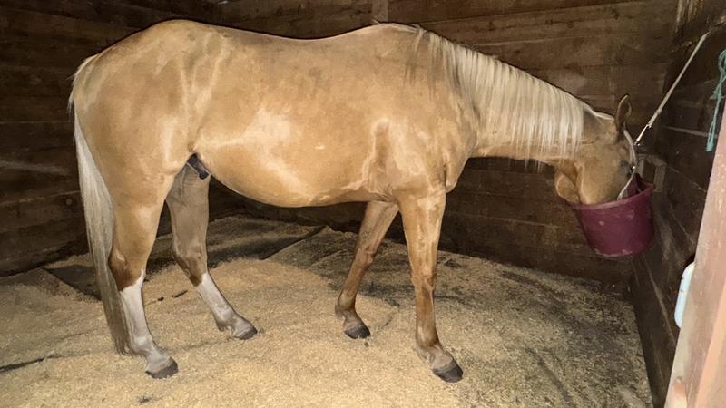 The start and progress of condition