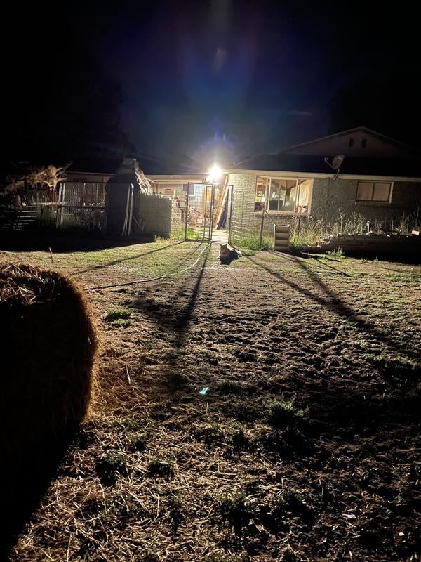 Floor dirty enough to grow Carrots!