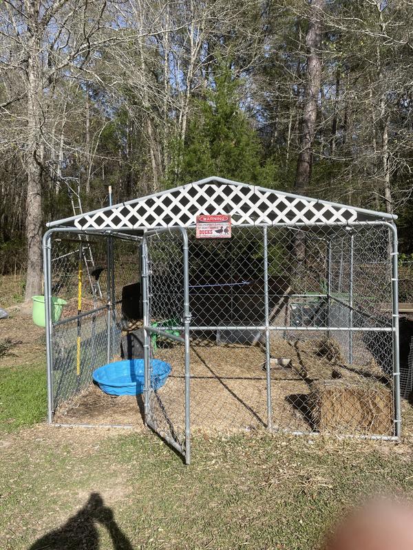 The coop
