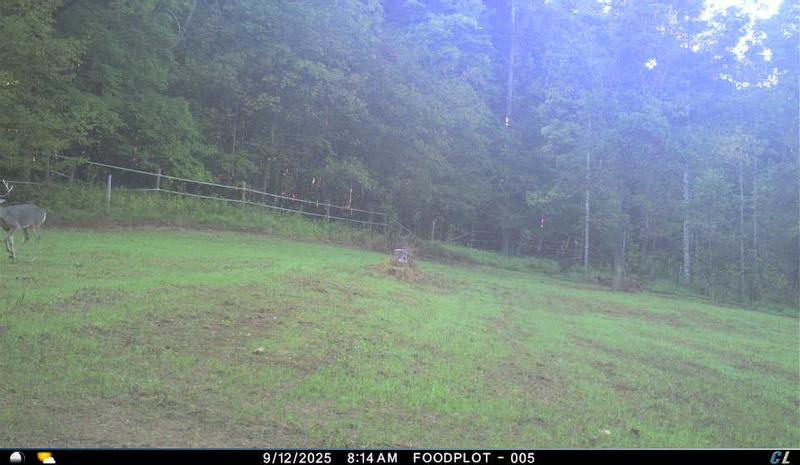 2 weeks after planting and good rain