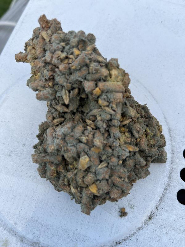 Review photo 3.