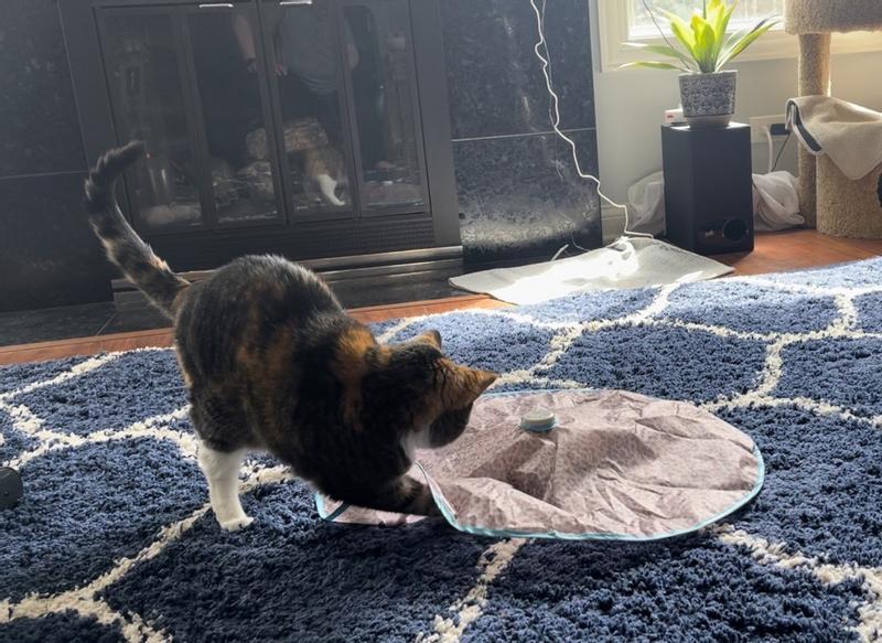 Science, lol - How does it work?