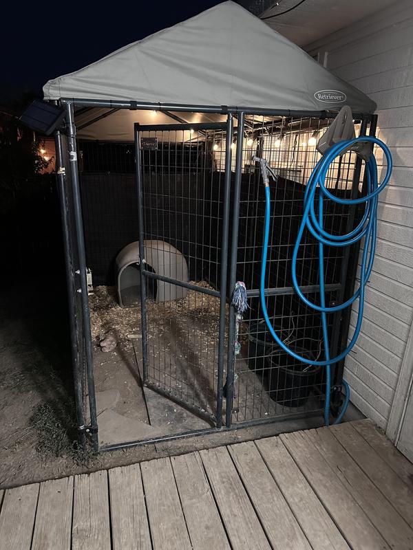 With new canvas installed