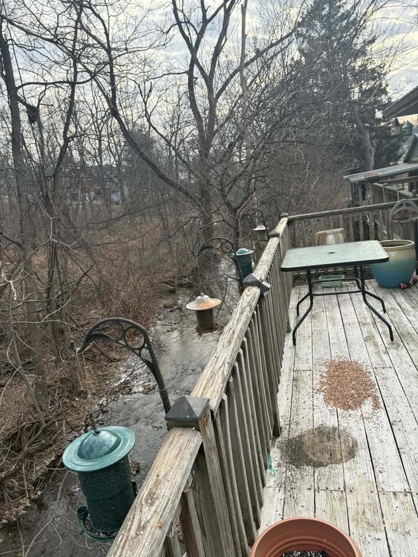 Additional feeders for all our little friends