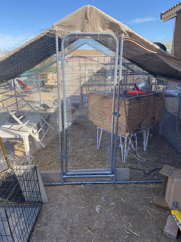 Hutch area for hatchling chicks