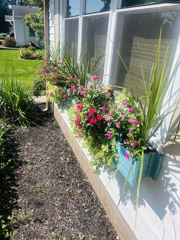 Planter with fllowers. Two 30 inch boxes side by side.