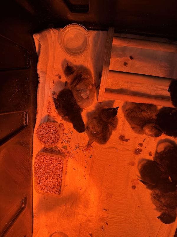 The one that’s already friendly