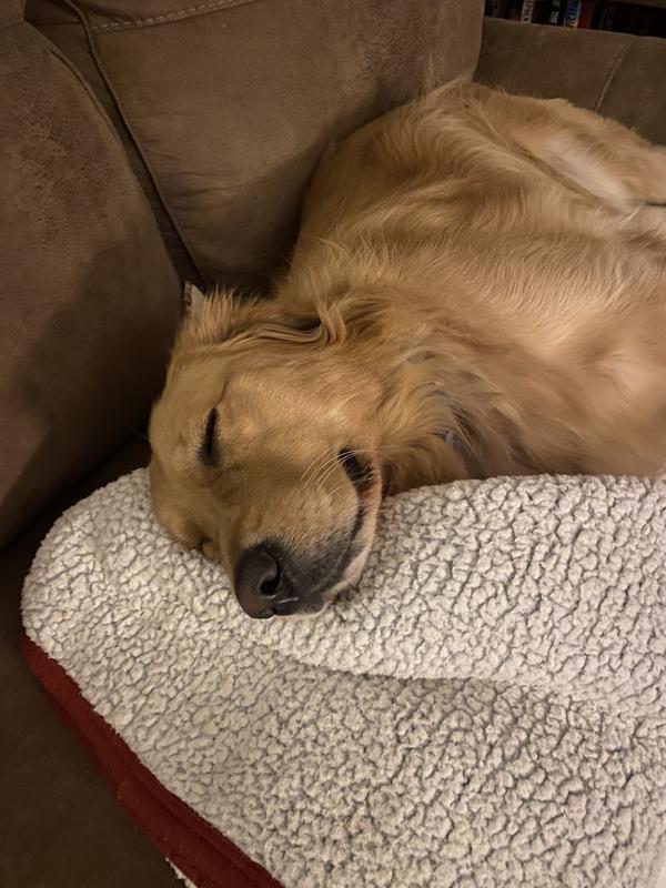One happy 2-year old