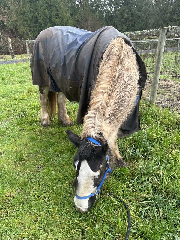 After a very soggy few days of rain