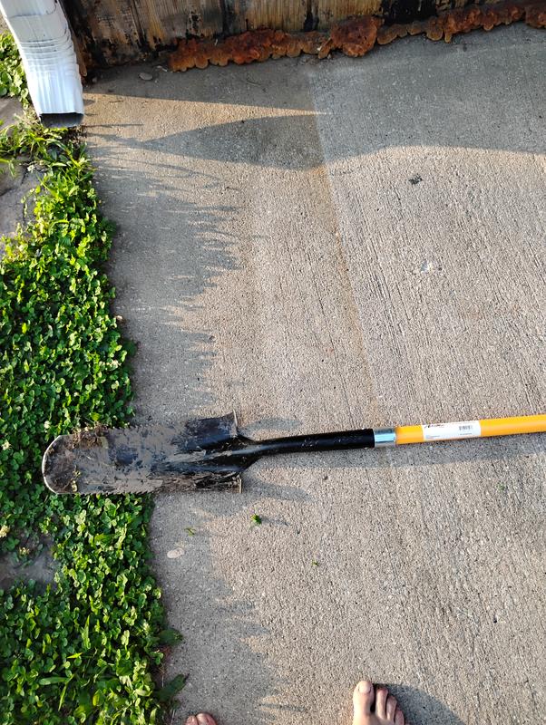 Doesn't look anything alike