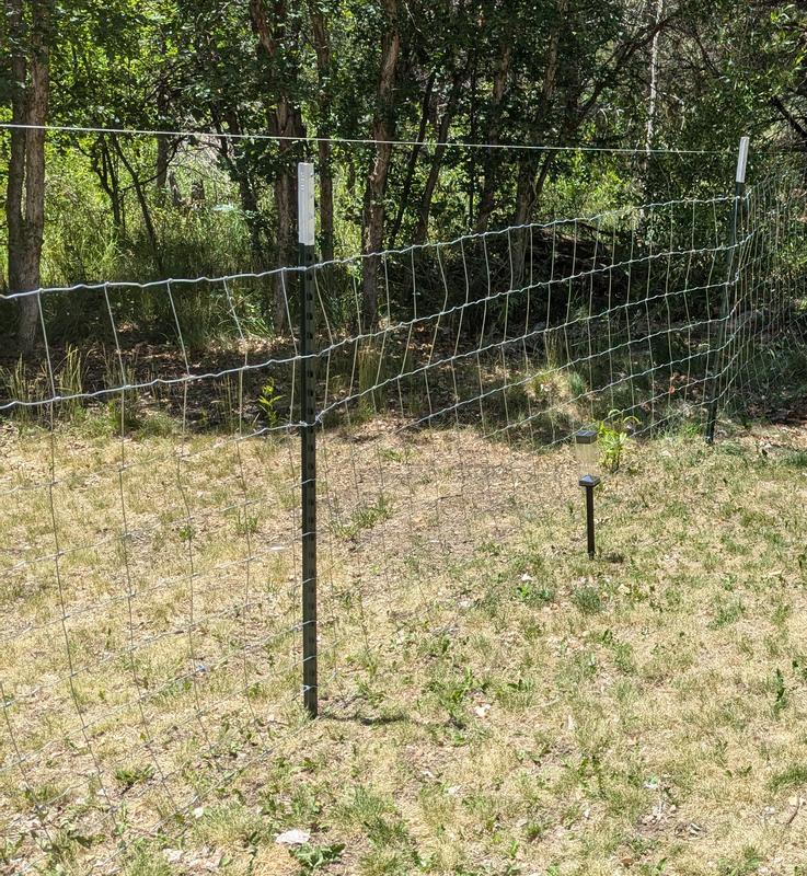 Fence in yard.
