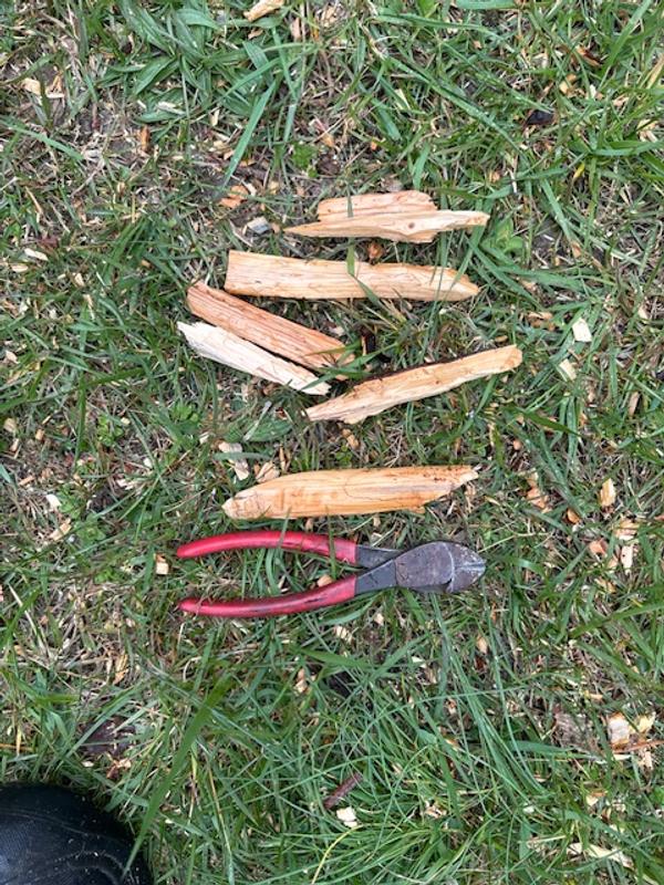 Chunks from test run