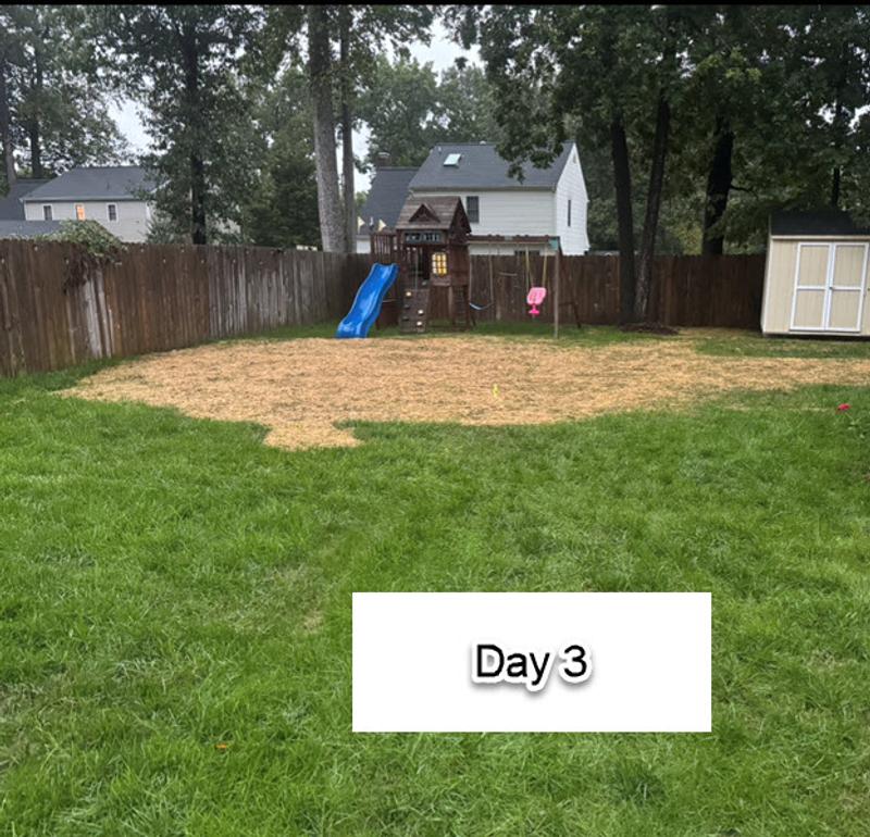 Review photo 8.