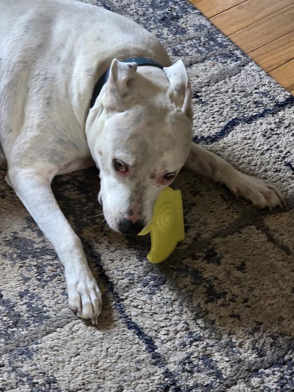 He loves his toy