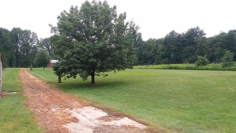 Barn driveway