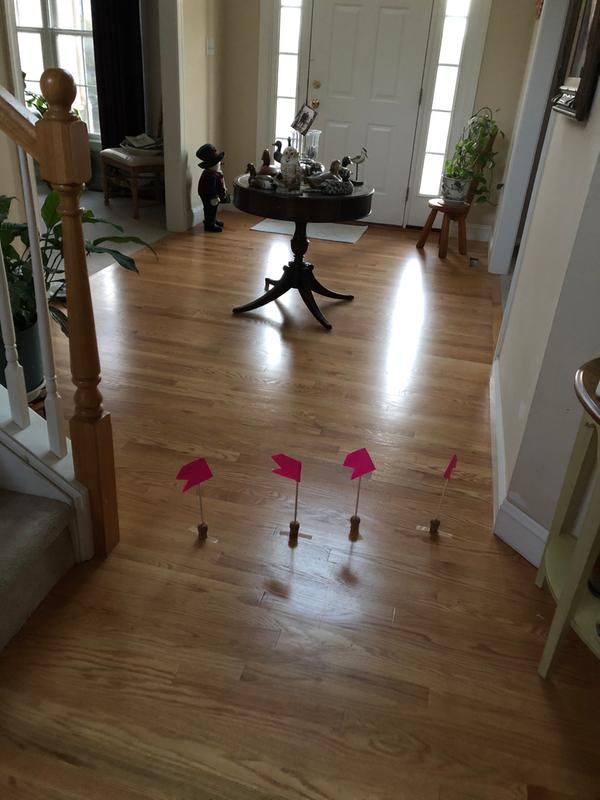 My safety flags I made myself to help my dogs find the barriers