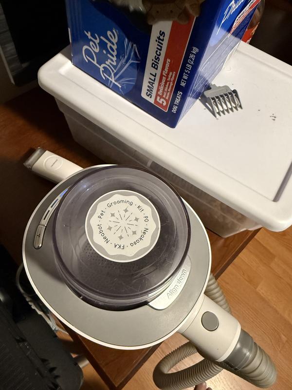 Great for Jack Russell dogs