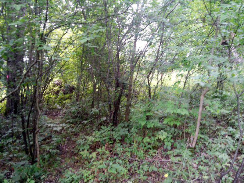 orange marker for distance