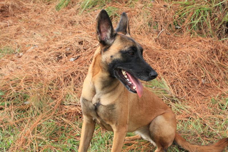 Miss Maddie is crazy for Untamed!