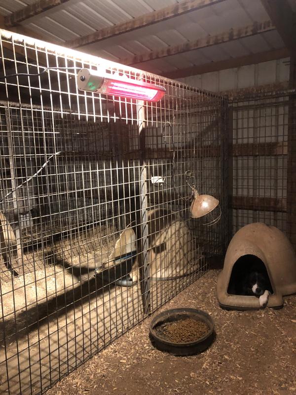 Heater from Tractor Supply