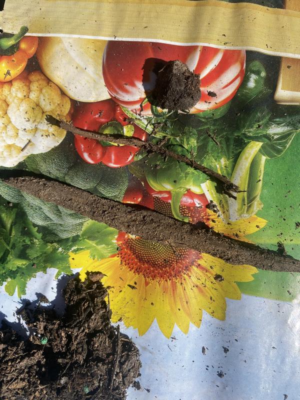 Sticks and plastic beads