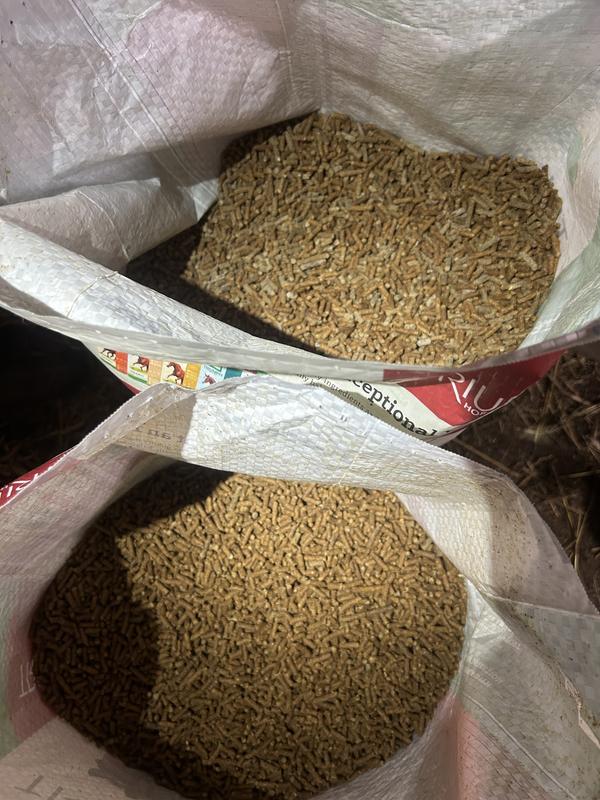 Moldy vs a not moldy bag