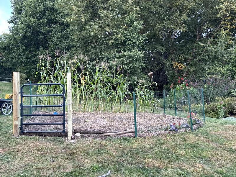 Note the extra 2x4 on the left side of the left post.