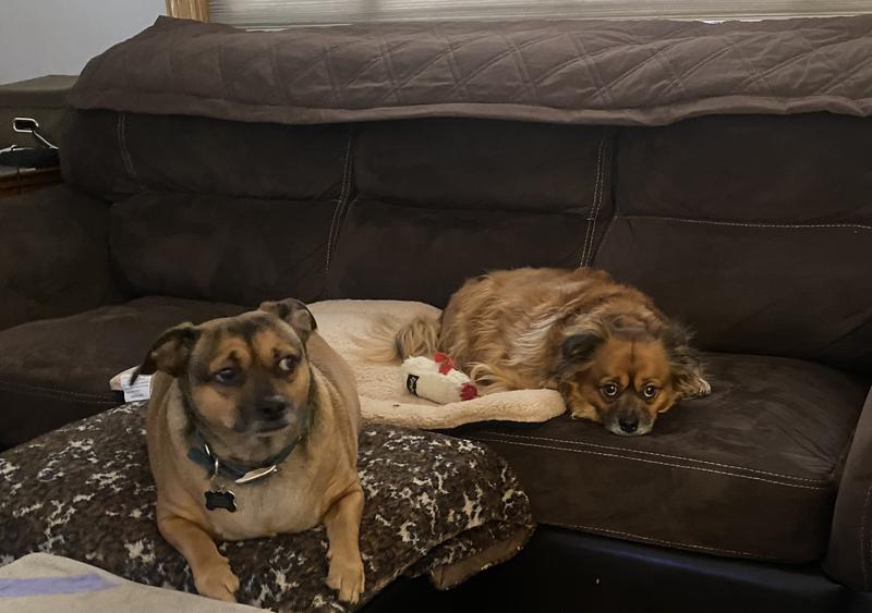 Sharing the mat Mom is buying another one!