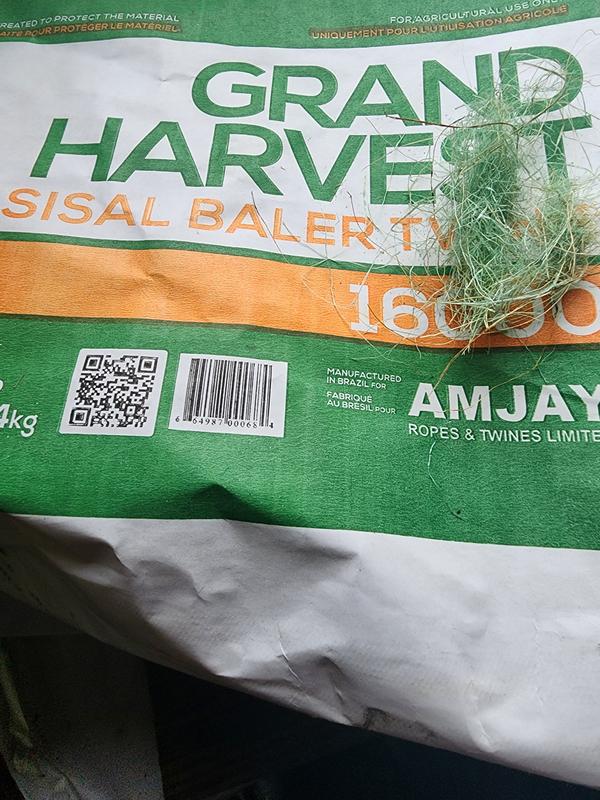 Shavings that balled up