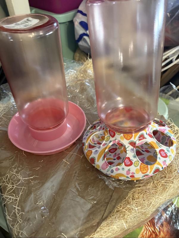 Chick water and food feeders