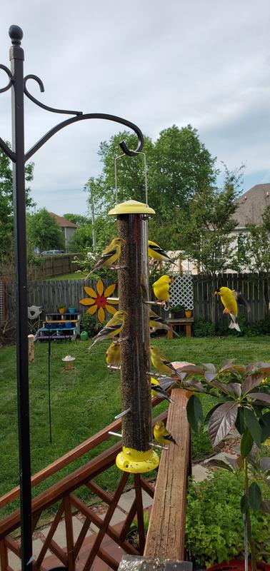 Review photo 5.