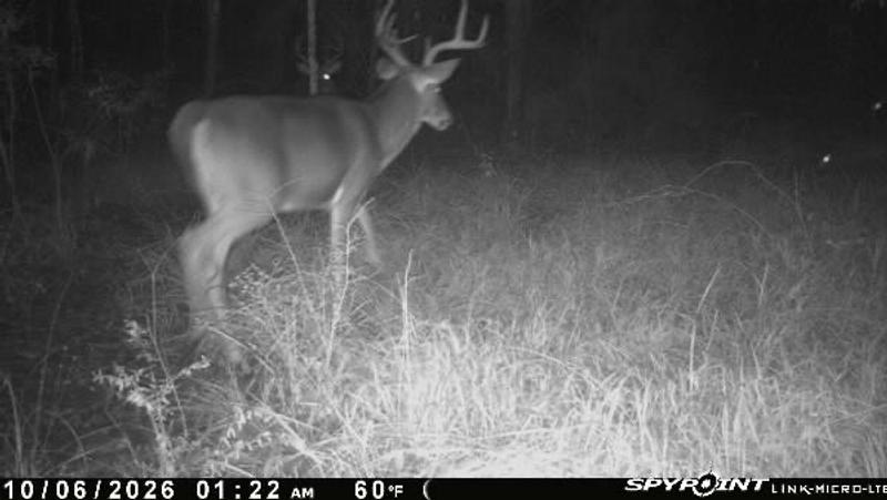 Easy aim mount makes trail camera setup a breeze
