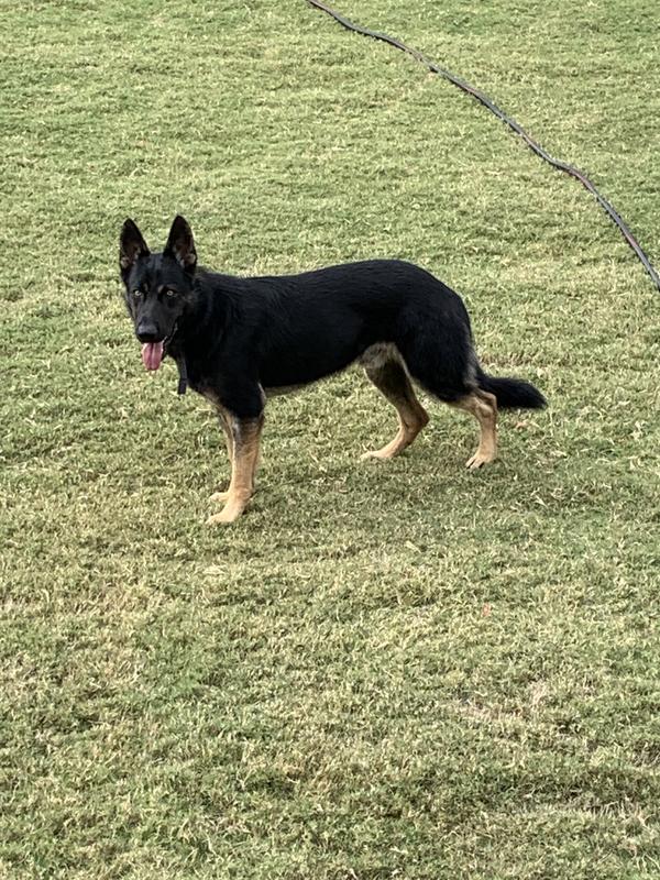 Jax