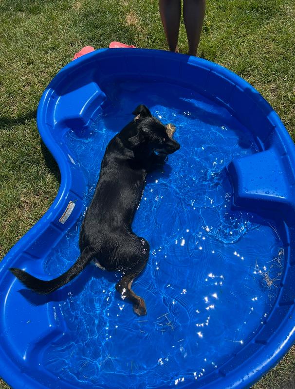 A splashing good time :-). This is a winner …