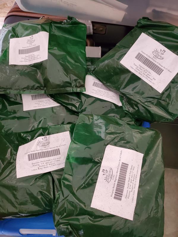 This is how they come.