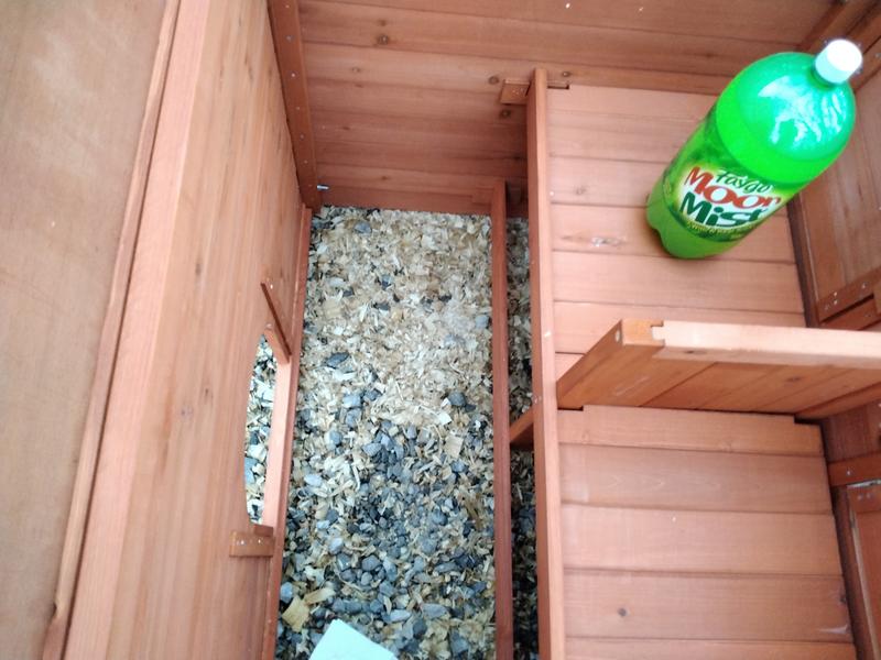 Two liter bottle to show how roomy it is.