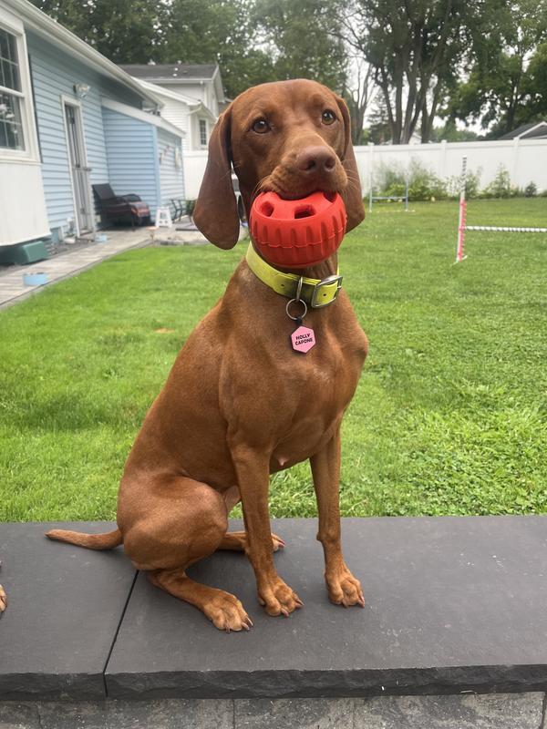 Large Woof  pupsivle ball